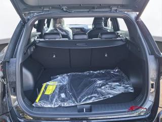 KIA Sportage usata 8