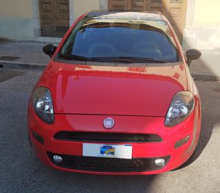 FIAT Punto usata, con Airbag Passeggero
