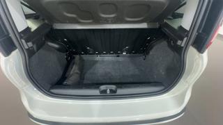FIAT Panda Cross usata, con Fendinebbia