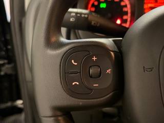FIAT Panda Cross usata, con Sensore di pioggia