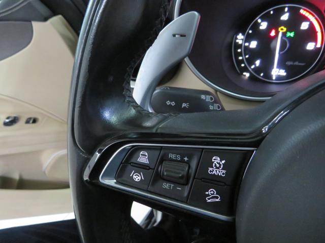 ALFA ROMEO Stelvio usata, con Cruise Control