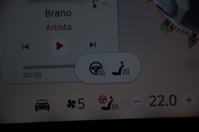 SMART Smart usata, con Controllo trazione