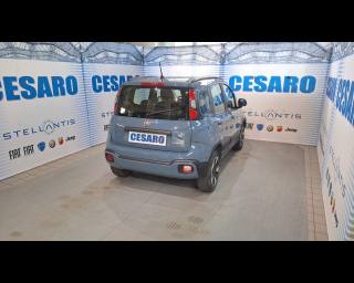 FIAT New Panda usata, con Airbag Passeggero
