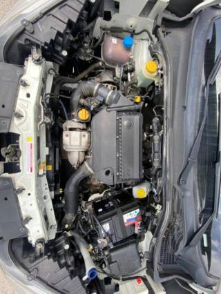FIAT Doblo usata, con Bracciolo