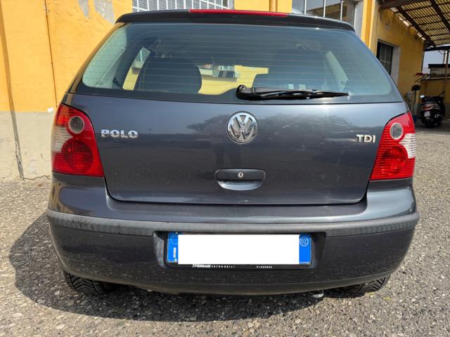 VOLKSWAGEN Polo usata, con Alzacristalli elettrici