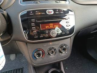 FIAT Punto usata, con Cronologia tagliandi