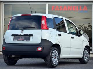 FIAT Panda usata 10