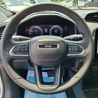 JEEP Renegade usata, con Cerchi in lega