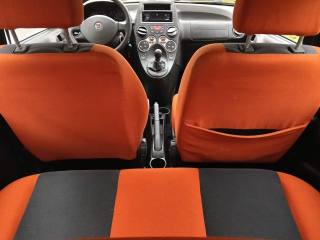 FIAT Panda usata, con Fendinebbia