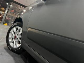 FIAT New Panda usata, con Climatizzatore