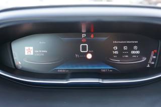 PEUGEOT 3008 usata 30