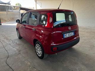 FIAT Panda usata, con Climatizzatore