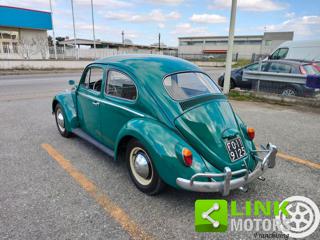 VOLKSWAGEN Maggiolino usata 6
