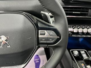 PEUGEOT 3008 usata, con Cruise Control