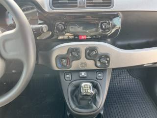 FIAT Panda usata 12