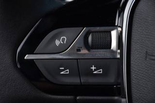 PEUGEOT 2008 usata, con Vetri oscurati