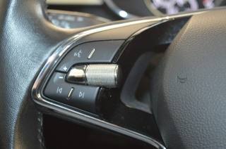 SKODA Fabia usata, con Cruise Control