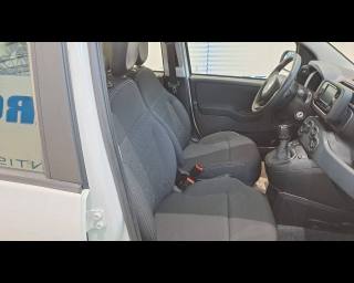 FIAT Panda usata 19