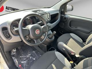 FIAT Panda usata, con Alzacristalli elettrici