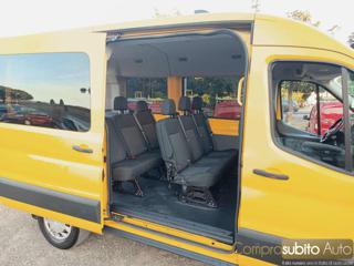 FORD Transit usata 28