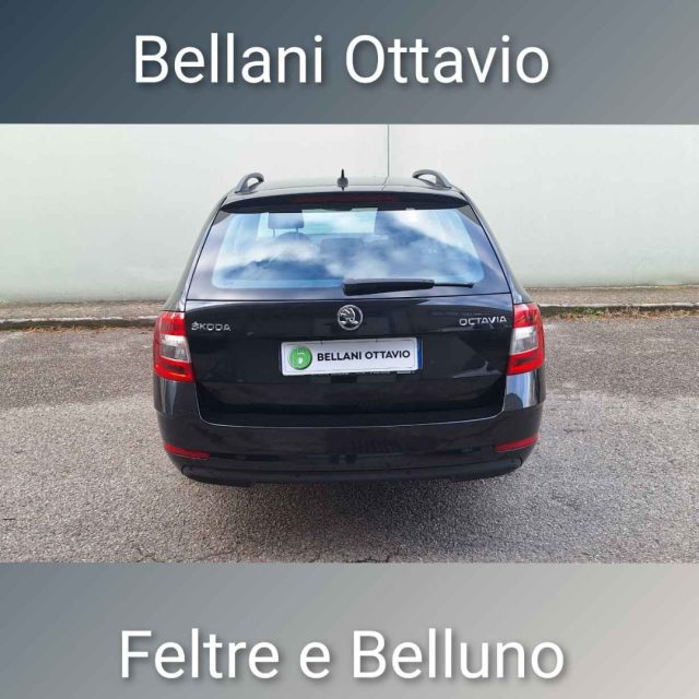 SKODA Octavia usata, con Cerchi in lega