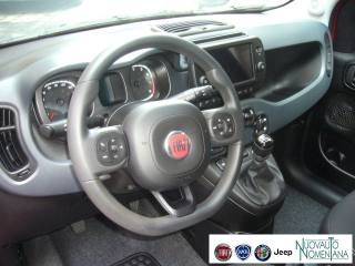 FIAT Panda Cross usata 10