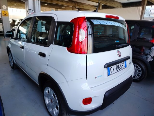 FIAT Panda usata, con Chiusura centralizzata