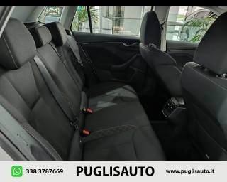 SKODA Kamiq usata, con Servosterzo