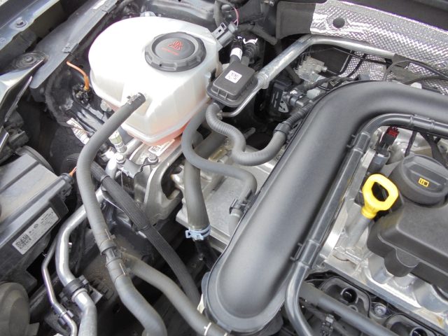 VOLKSWAGEN Golf usata 40