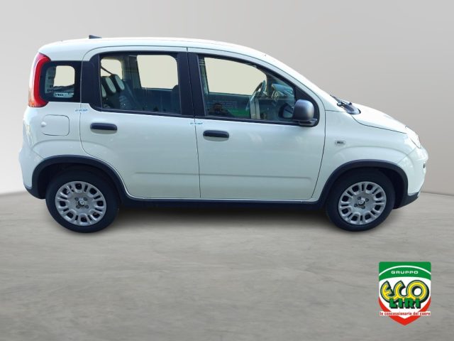 FIAT Panda usata, con Controllo trazione