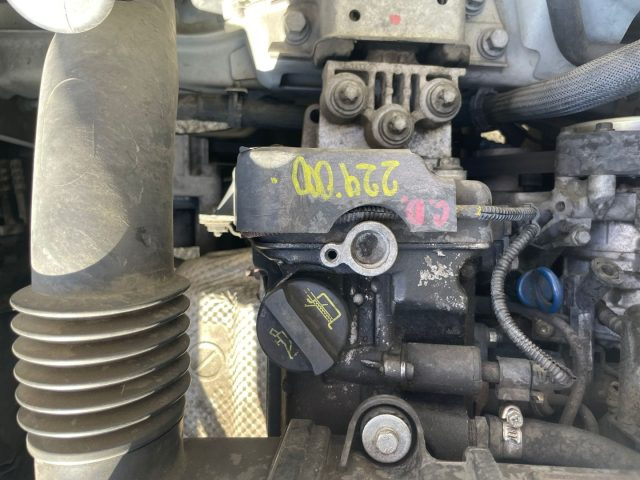 FIAT Qubo usata, con Bracciolo