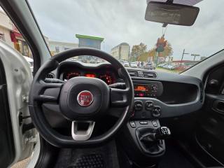 FIAT Panda usata 15