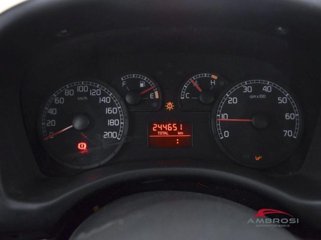 FIAT Punto usata 12