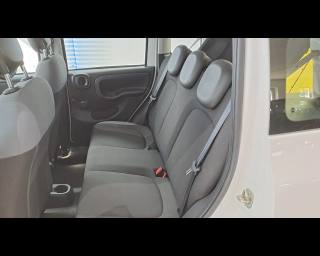 FIAT New Panda usata 17