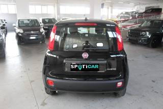 FIAT Panda usata, con Autoradio