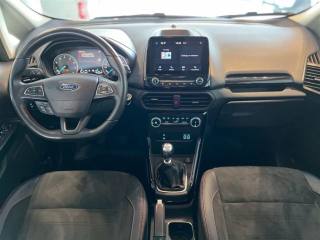 FORD EcoSport usata, con Fendinebbia