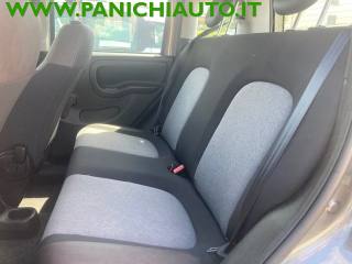 FIAT Panda Cross usata, con Alzacristalli elettrici