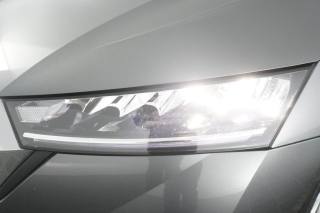 SKODA Octavia usata 13