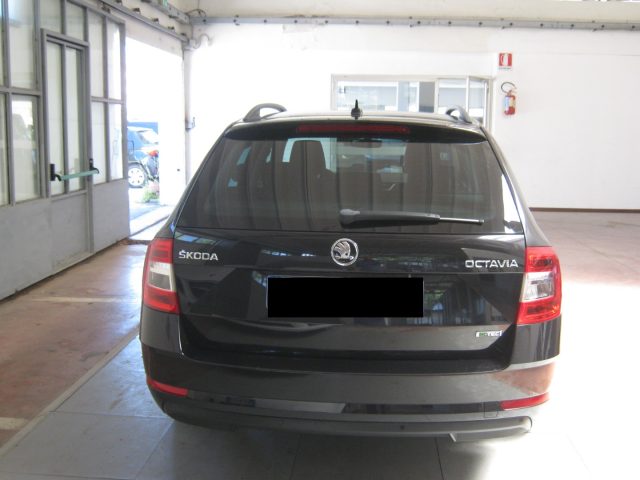 SKODA Octavia usata, con Airbag Passeggero
