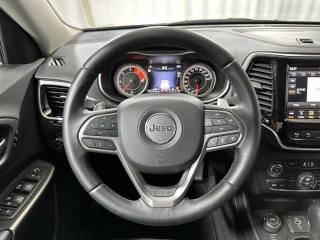 JEEP Cherokee usata, con Airbag testa