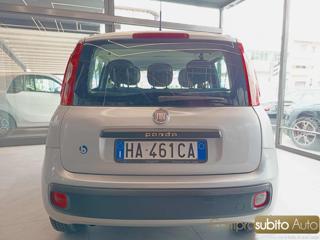 FIAT Panda usata 24