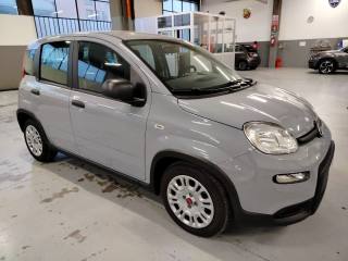 FIAT Panda usata, con Antifurto