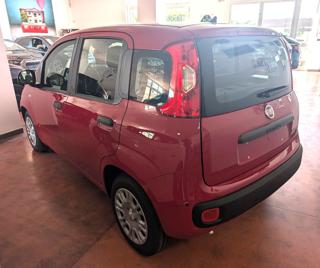 FIAT Panda usata, con Airbag Passeggero