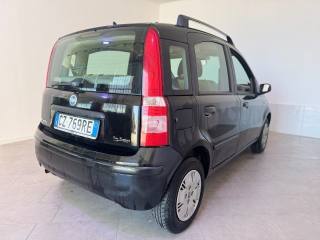 FIAT Panda usata 5
