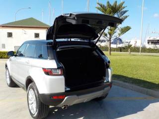 LAND ROVER Range Rover Evoque usata, con Cronologia tagliandi