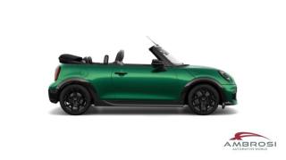 MINI Cabrio usata 5