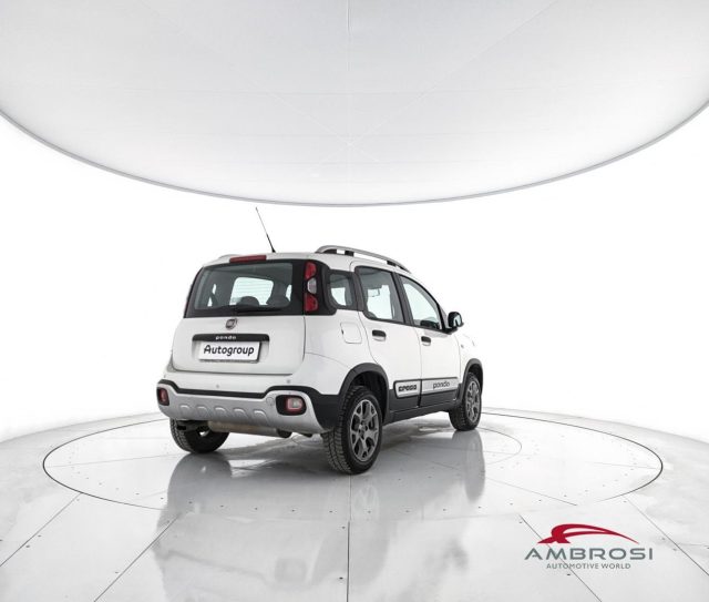 FIAT Panda usata 2
