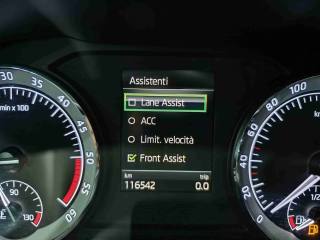 SKODA Karoq usata, con Fari LED