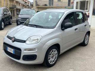 FIAT Panda usata, con Airbag Passeggero