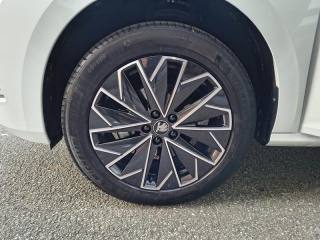 SKODA Kamiq usata, con Vetri oscurati